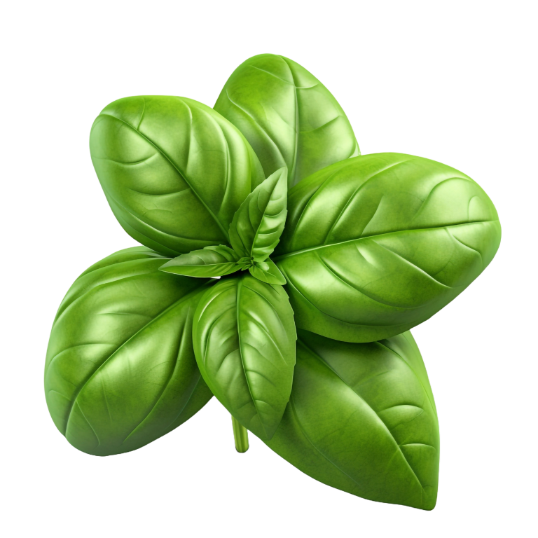 ALBAHACA
